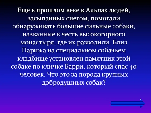 Еще в прошлом веке в Альпах людей, засыпанных снегом, помогали обнаруживать большие сильные