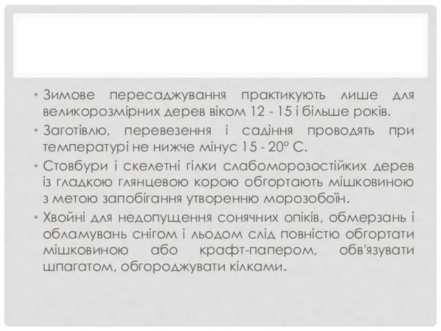 Зимове пересаджування практикують лише для великорозмірних дерев віком 12 -