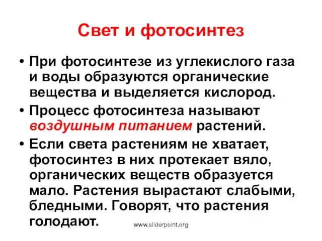 Свет и фотосинтез При фотосинтезе из углекислого газа и воды