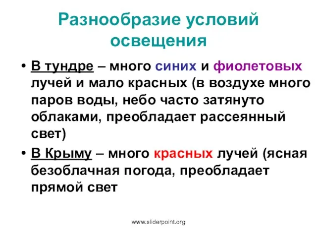 Разнообразие условий освещения В тундре – много синих и фиолетовых