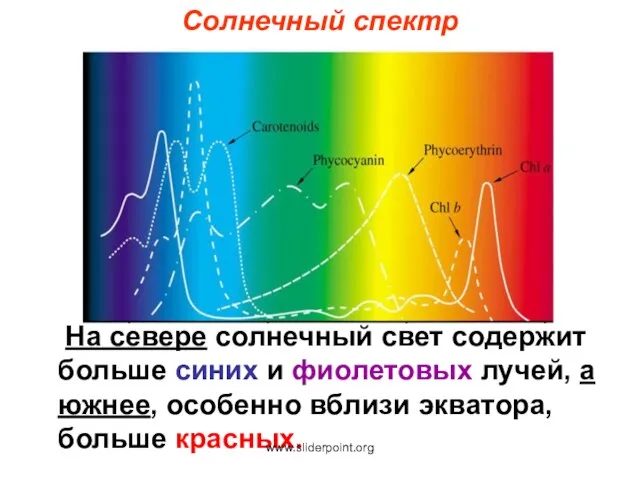 На севере солнечный свет содержит больше синих и фиолетовых лучей,