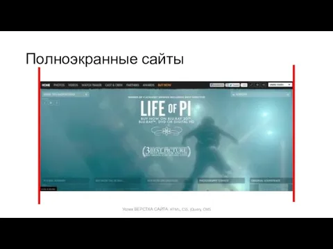 Полноэкранные сайты Успех ВЕРСТКА САЙТА: HTML, CSS, jQuery, CMS