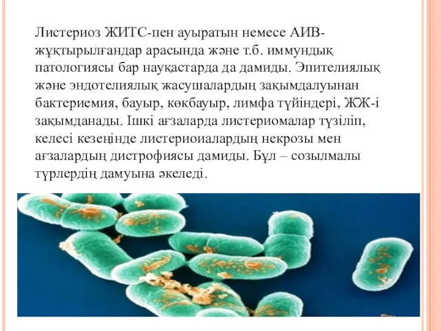 Листериоз ЖИТС-пен ауыратын немесе АИВ-жұқтырылғандар арасында және т.б. иммундық патологиясы