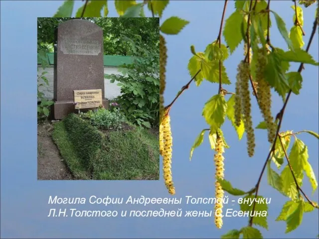 Могила Софии Андреевны Толстой - внучки Л.Н.Толстого и последней жены С.Есенина