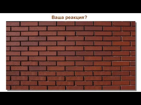 Ваша реакция? Жильцы этого дома – НАСТОЯЩИЕ СВИНЬИ !!!