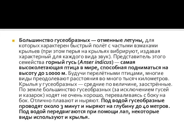 Большинство гусеобразных — отменные летуны, для которых характерен быстрый полёт