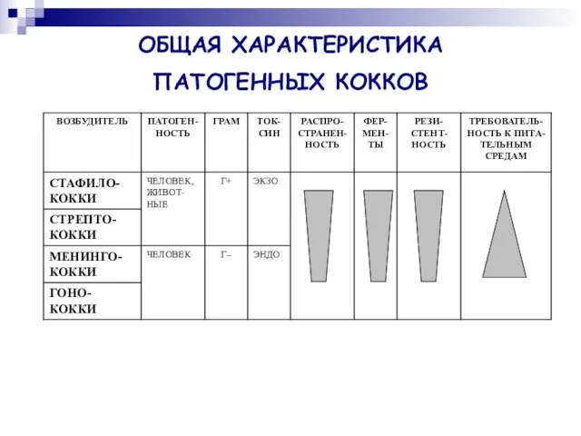 ОБЩАЯ ХАРАКТЕРИСТИКА ПАТОГЕННЫХ КОККОВ