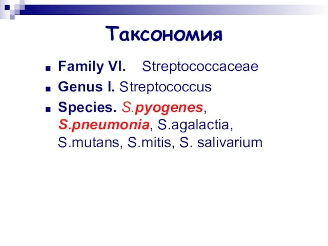 Таксономия Family VI. Streptococcaceae Genus I. Streptococcus Species. S.pyogenes, S.pneumonia, S.agalactia, S.mutans, S.mitis, S. salivarium