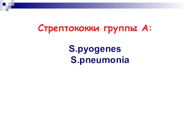 Стрептококки группы А: S.pyogenes S.pneumonia