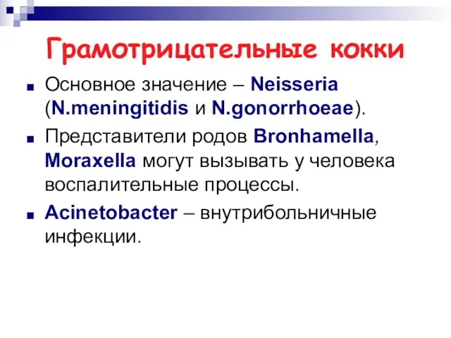 Грамотрицательные кокки Основное значение – Neisseria (N.meningitidis и N.gonorrhoeae). Представители родов Bronhamella, Moraxella