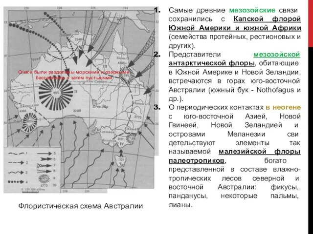 Флористическая схема Австралии Самые древние мезозой­ские связи сохранились с Капской