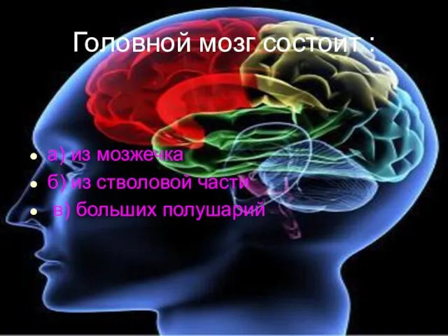 Головной мозг состоит : а) из мозжечка б) из стволовой части в) больших полушарий