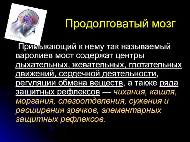 Продолговатый мозг Примыкающий к нему так называемый варолиев мост содержат