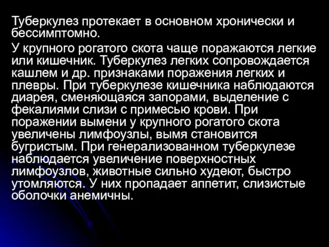 Туберкулез протекает в основном хронически и бессимптомно. У крупного рогатого