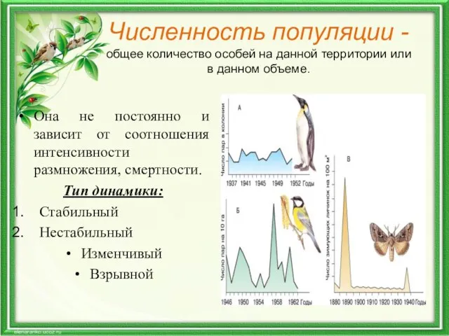 Численность популяции - общее количество особей на данной территории или