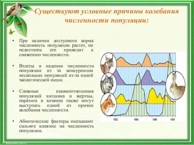 Существуют условные причины колебания численности популяции: При наличии доступного корма