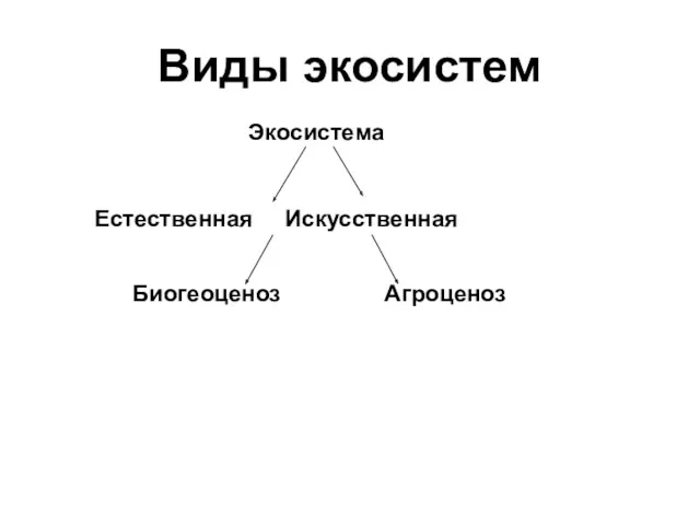 Виды экосистем Экосистема Естественная Искусственная Биогеоценоз Агроценоз