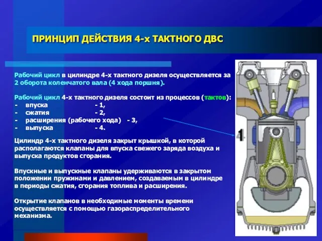 ПРИНЦИП ДЕЙСТВИЯ 4-х ТАКТНОГО ДВС Цилиндр 4-х тактного дизеля закрыт