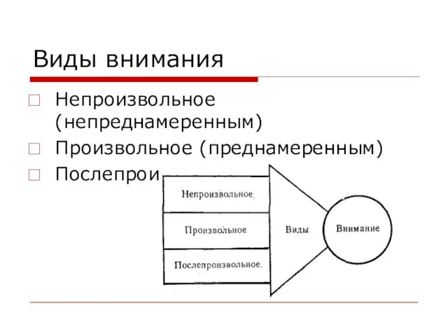 Виды внимания Непроизвольное (непреднамеренным) Произвольное (преднамеренным) Послепроизвольное