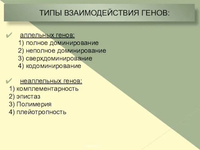 ТИПЫ ВЗАИМОДЕЙСТВИЯ ГЕНОВ: аллельных генов: 1) полное доминирование 2) неполное