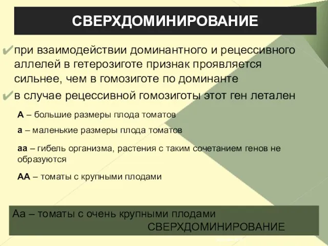 СВЕРХДОМИНИРОВАНИЕ при взаимодействии доминантного и рецессивного аллелей в гетерозиготе признак