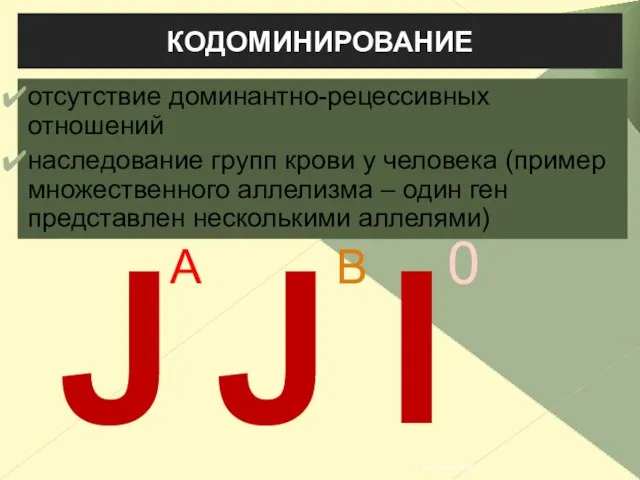 I КОДОМИНИРОВАНИЕ отсутствие доминантно-рецессивных отношений наследование групп крови у человека