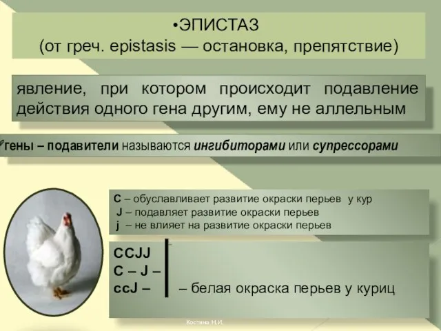 ЭПИСТАЗ (от греч. epistasis — остановка, препятствие) явление, при котором