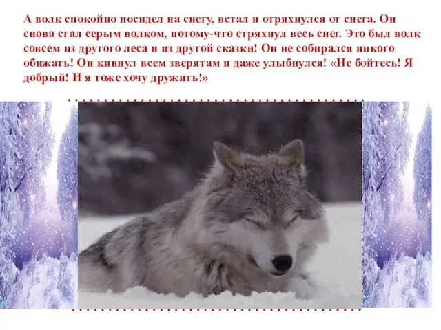 А волк спокойно посидел на снегу, встал и отряхнулся от снега. Он снова