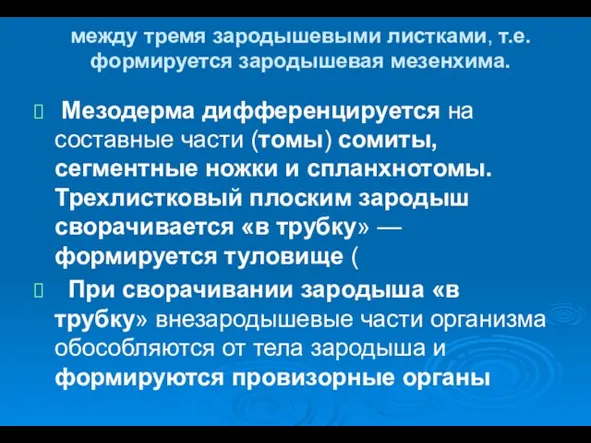 между тремя зародышевыми листками, т.е. формируется зародышевая мезенхима. Мезодерма дифференцируется