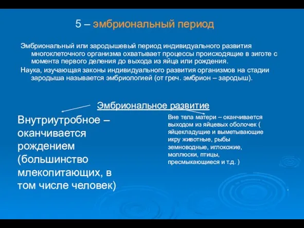 Эмбриональный или зародышевый период индивидуального развития многоклеточного организма охватывает процессы