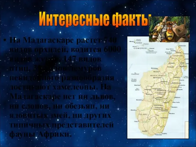 На Мадагаскаре растет 740 видов орхидей, водится 6000 видов жуков,