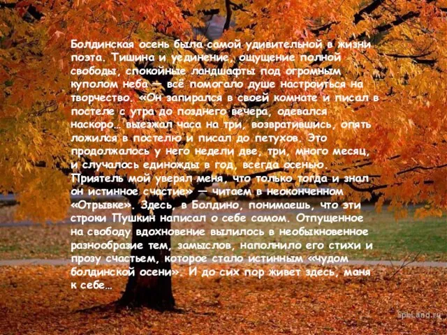 Болдинская осень была самой удивительной в жизни поэта. Тишина и