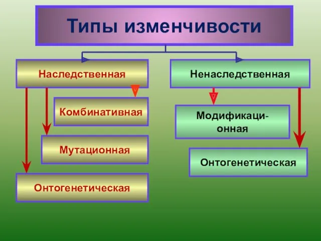 Типы изменчивости Наследственная Ненаследственная Мутационная Онтогенетическая Комбинативная Онтогенетическая Модификаци- онная