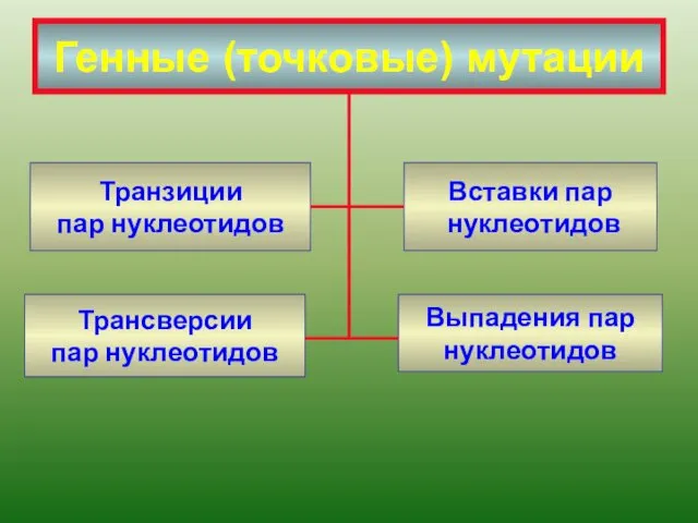 Генные (точковые) мутации Транзиции пар нуклеотидов Трансверсии пар нуклеотидов Выпадения пар нуклеотидов Вставки пар нуклеотидов