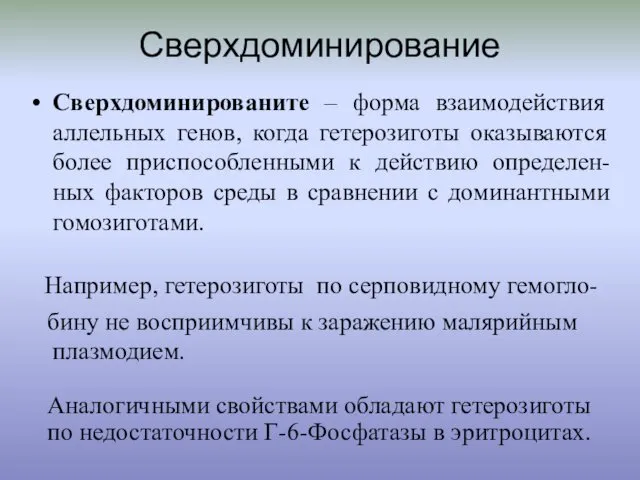 Сверхдоминирование Сверхдоминированите – форма взаимодействия аллельных генов, когда гетерозиготы оказываются