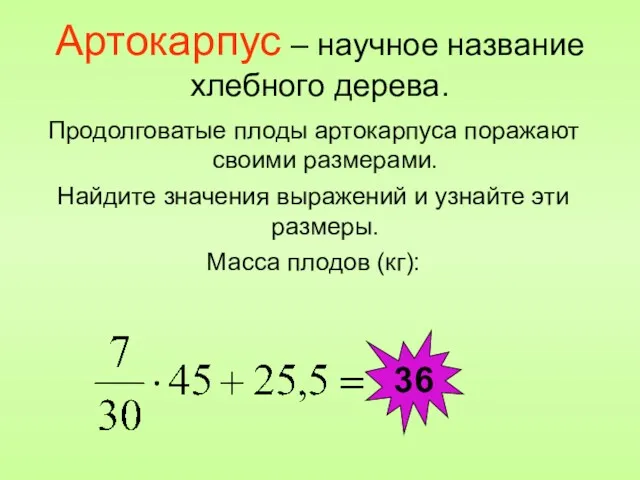 Артокарпус – научное название хлебного дерева. Продолговатые плоды артокарпуса поражают