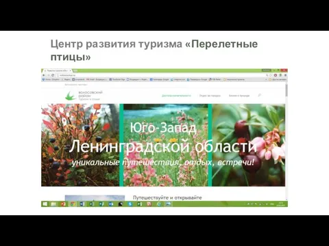 Центр развития туризма «Перелетные птицы»