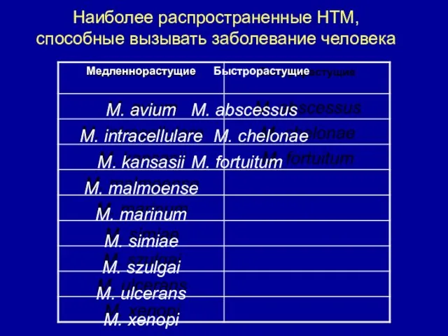 Наиболее распространенные НТМ, способные вызывать заболевание человека Медленнорастущие Быстрорастущие M.