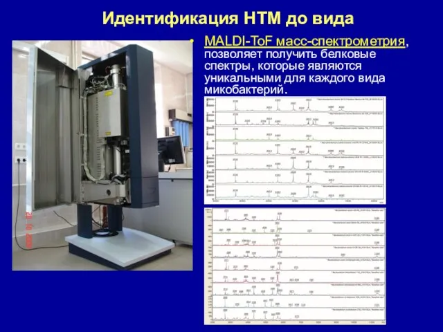 Идентификация НТМ до вида MALDI-ToF масс-спектрометрия, позволяет получить белковые спектры,