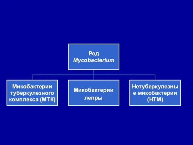 Род Mycobacterium Микобактерии туберкулезного комплекса (МТК) Микобактерии лепры Нетуберкулезные микобактерии (НТМ)