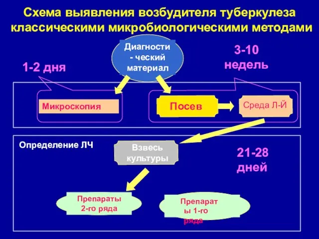 Схема выявления возбудителя туберкулеза классическими микробиологическими методами Диагности- ческий материал