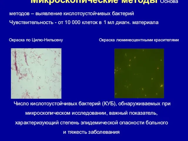 Микроскопические методы Основа методов – выявление кислотоустойчивых бактерий Чувствительность -