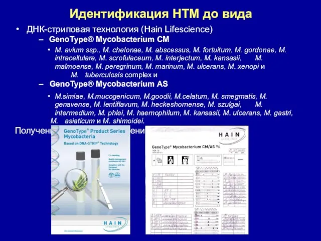 Идентификация НТМ до вида ДНК-стриповая технология (Hain Lifescience) GenoType® Mycobacterium