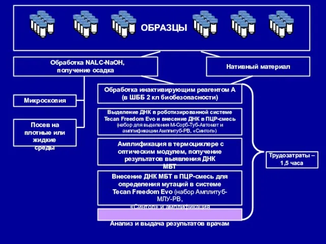 ОБРАЗЦЫ Обработка NALC-NaOH, получение осадка Нативный материал Обработка инактивирующим реагентом