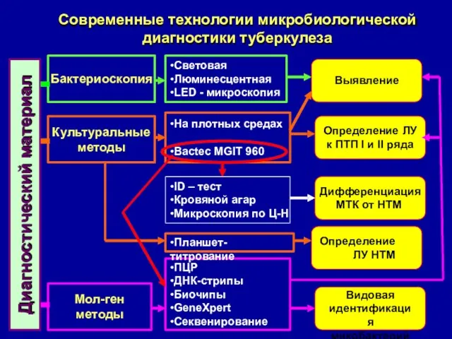 Современные технологии микробиологической диагностики туберкулеза Диагностический материал Бактериоскопия Культуральные методы