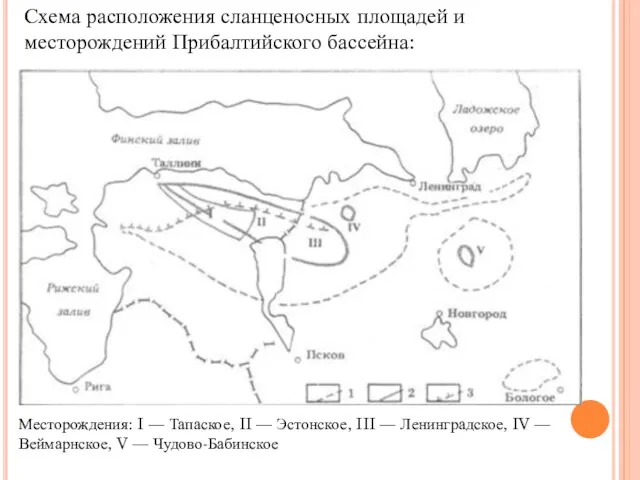 Схема расположения сланценосных площадей и месторождений Прибалтийского бассейна: Месторождения: I