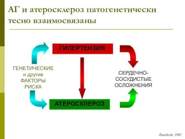 АГ и атеросклероз патогенетически тесно взаимосвязаны ГИПЕРТЕНЗИЯ АТЕРОСКЛЕРОЗ СЕРДЕЧНО- СОСУДИСТЫЕ