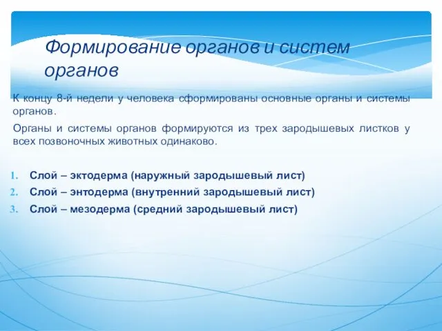 К концу 8-й недели у человека сформированы основные органы и