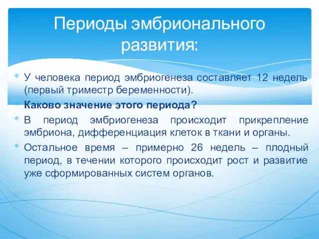 У человека период эмбриогенеза составляет 12 недель (первый триместр беременности).