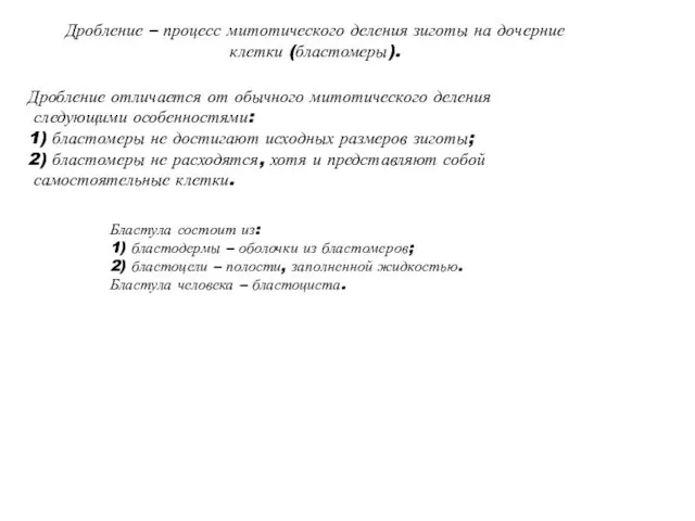 Дробление отличается от обычного митотического деления следующими особенностями: 1) бластомеры